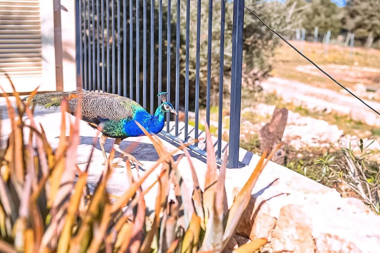 Finca Can Puput Bo Son Gual Dom wakacyjny